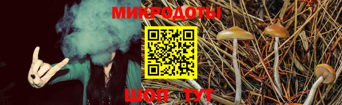 Галлюциногенные грибы MAGIC MUSHROOMS Кольчугино